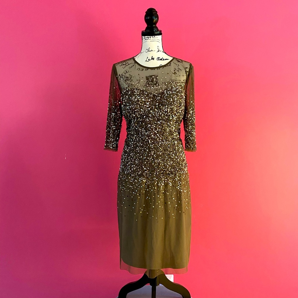 Adrianna Papell Beaded Illusion Bodice Mesh 16